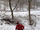 Donnersberg_14.jpg