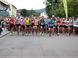 Sanderlauf-2016--0014.jpg