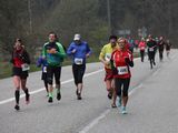alb165_img17511.jpg