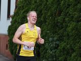 Sanderlauf-2016--0137.jpg