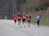 alb165_img17504.jpg