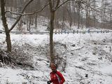 Donnersberg_10.jpg