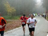 alb8_img620.jpg