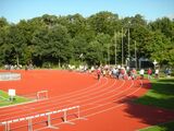 6_0003.jpg
