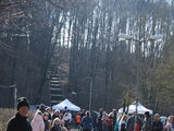 IMG_8658.JPG