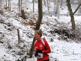 Donnersberg_13.jpg