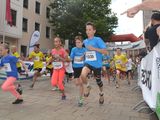 Hornbach-Citylauf-Lauf-3-0002.jpg