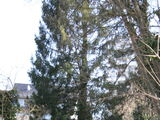 IMG_8625.JPG