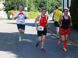 Sanderlauf-2016--0325.jpg