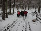 DSCN1544.jpg
