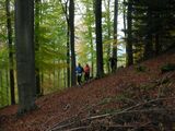 DSCN1488.jpg