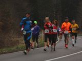 TSG-Halbmarathon-2015-0080.jpg