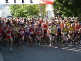 alb11_img795.jpg