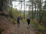 DSCN1479.jpg