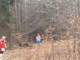 20150412_103050.jpg