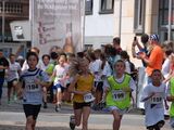 Citylauf-2014-1-0028.jpg