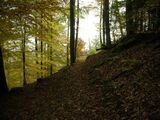 DSCN1481.jpg